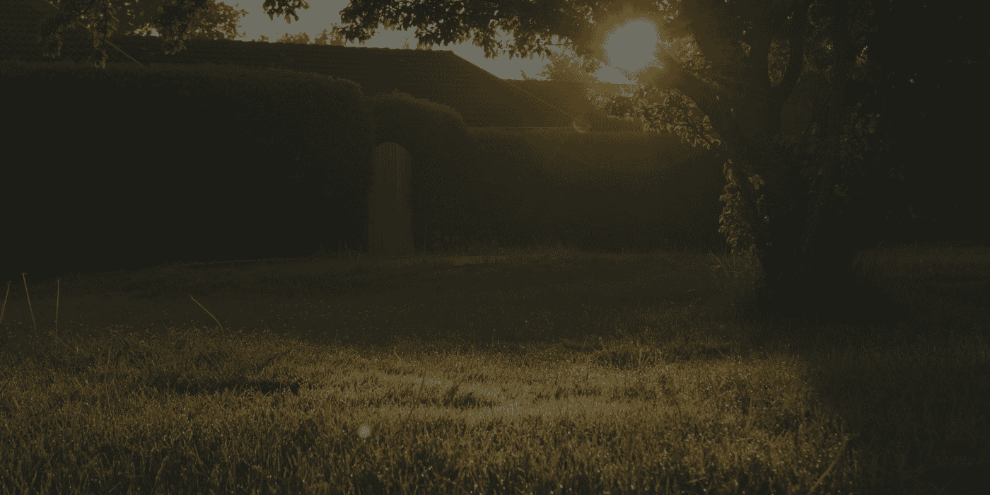 Featured image for “The Backyard Enemy”