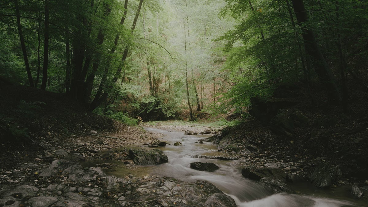 Featured image for “You, Man of God”