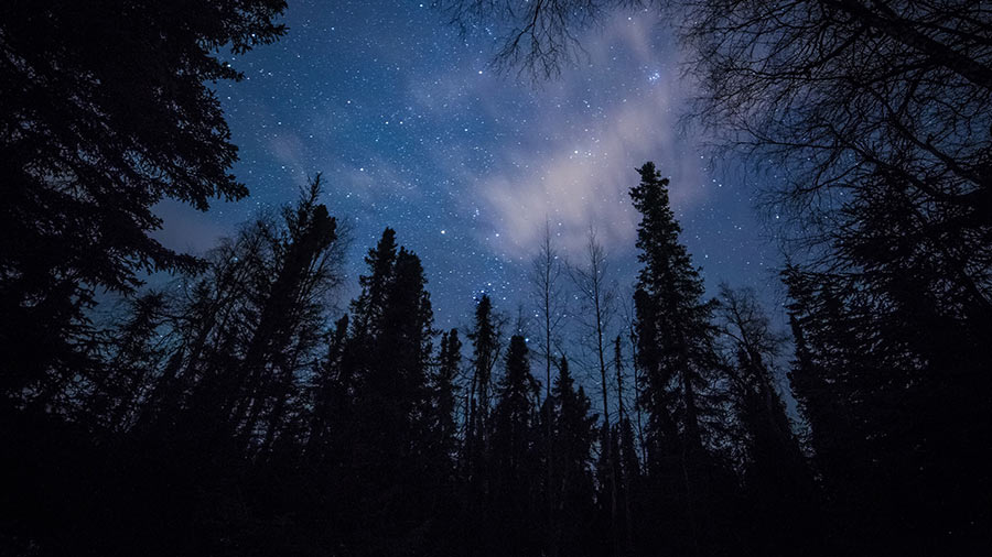 Featured image for “Our Adoption was Settled Before the First Star Hung from the Sky”