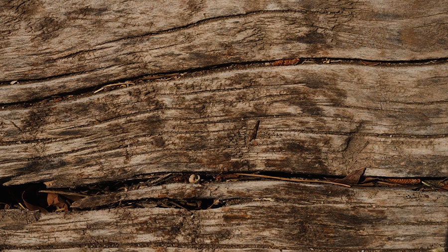 Featured image for “The Cost of the Cross, The Power of the Resurrection”
