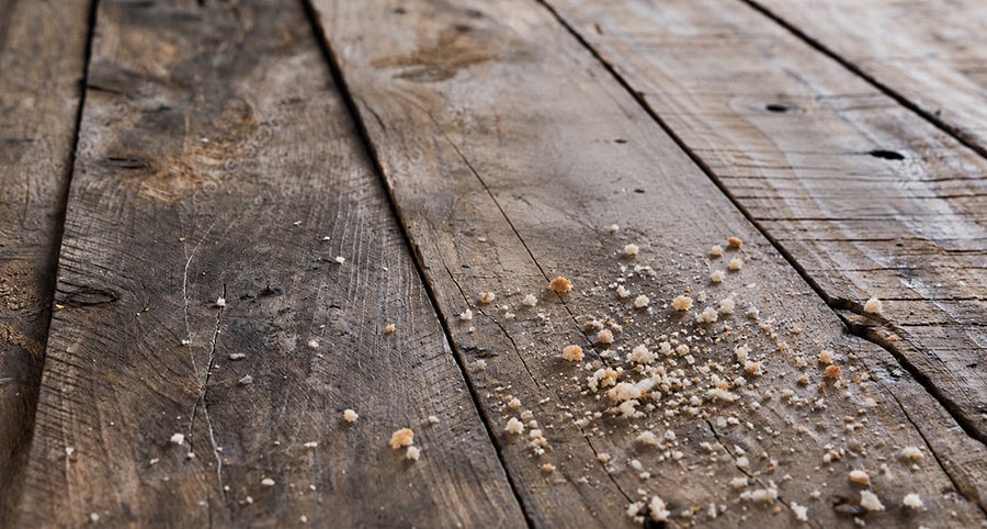 Featured image for “Crumbs from the Table”